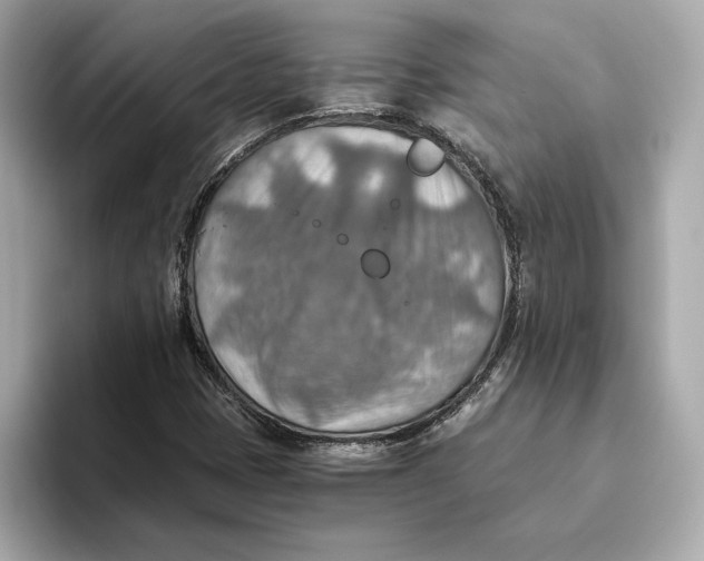 X0000093511401200711021019