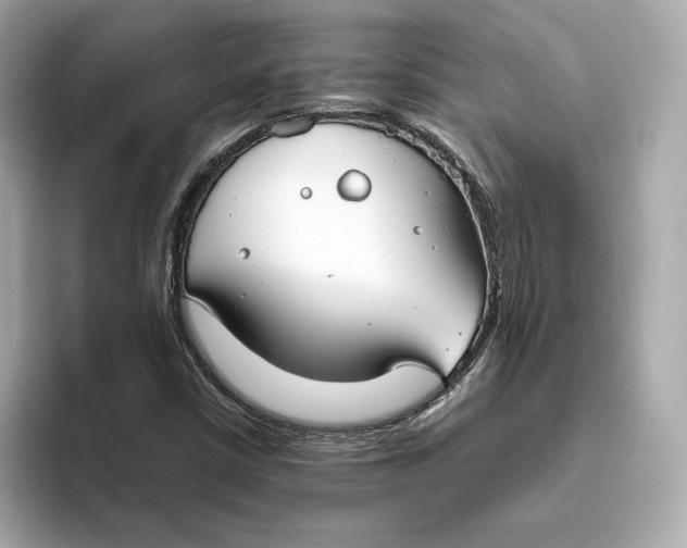 X0000093511402200711021019