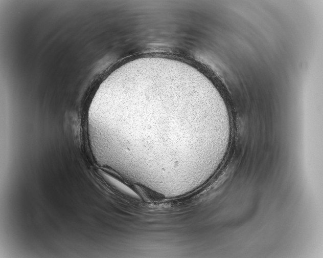 X0000093511403200711021019