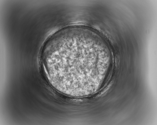 X0000093511405200711021019