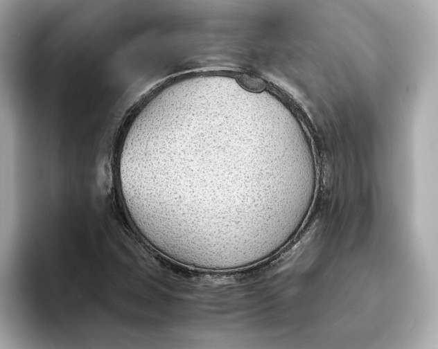 X0000093511407200711021019