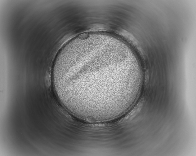 X0000093511409200711021019