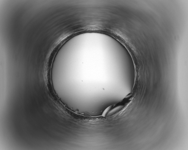 X0000093511410200711021019