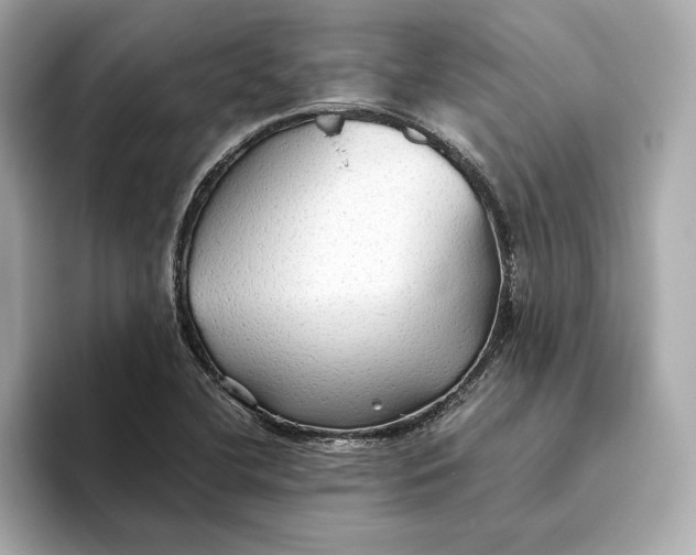 X0000093511412200711021019