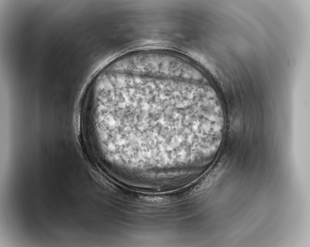 X0000093511413200711021019