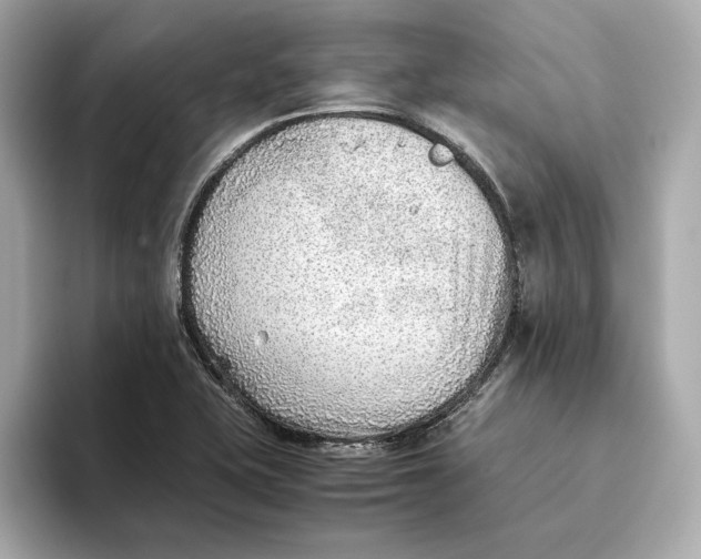 X0000093511415200711021019