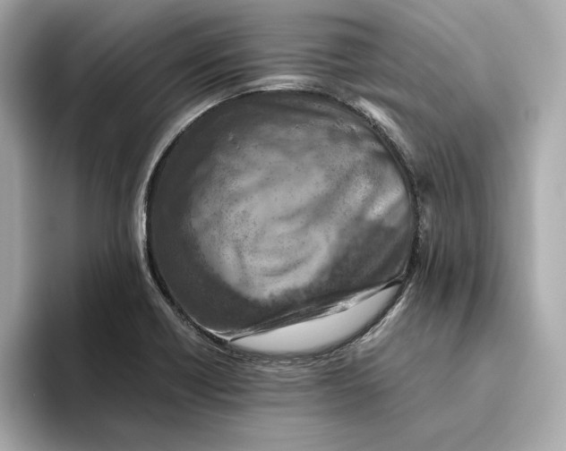 X0000093511418200711021019