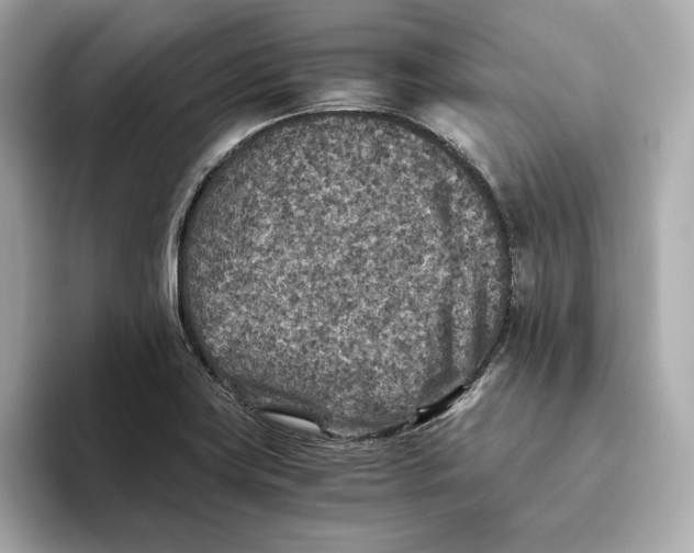 X0000093511419200711021019