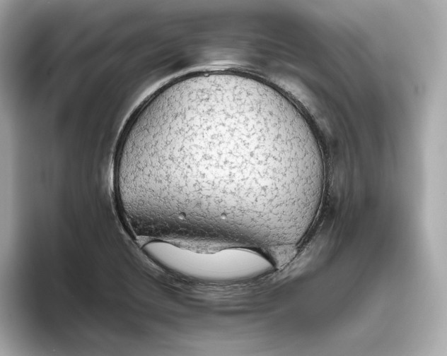 X0000093511420200711021019