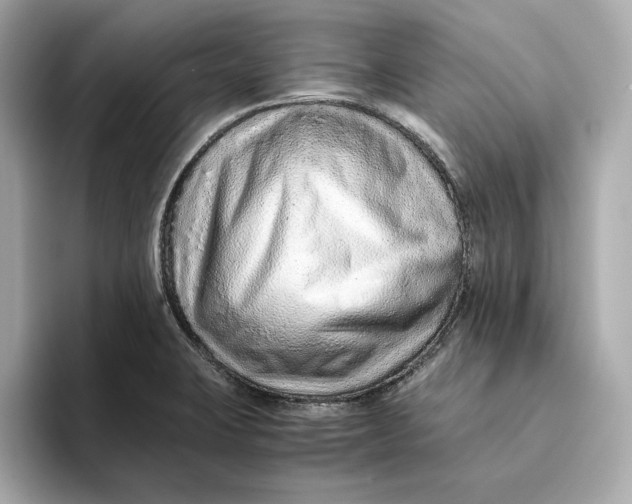 X0000093511423200711021020