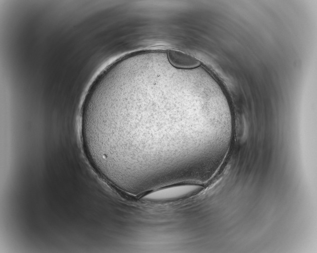 X0000093511424200711021020