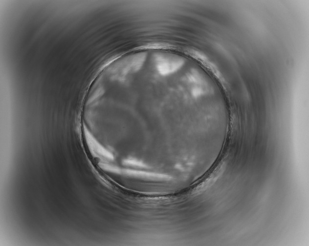 X0000093511425200711021020