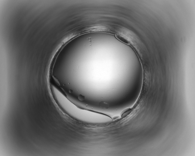 X0000093511426200711021020