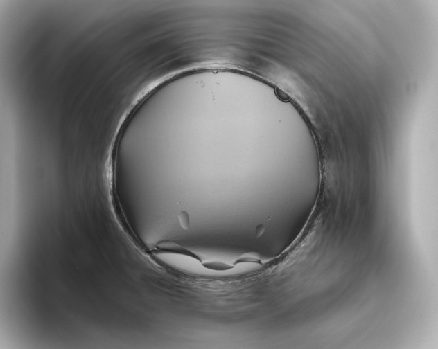 X0000093511428200711021020