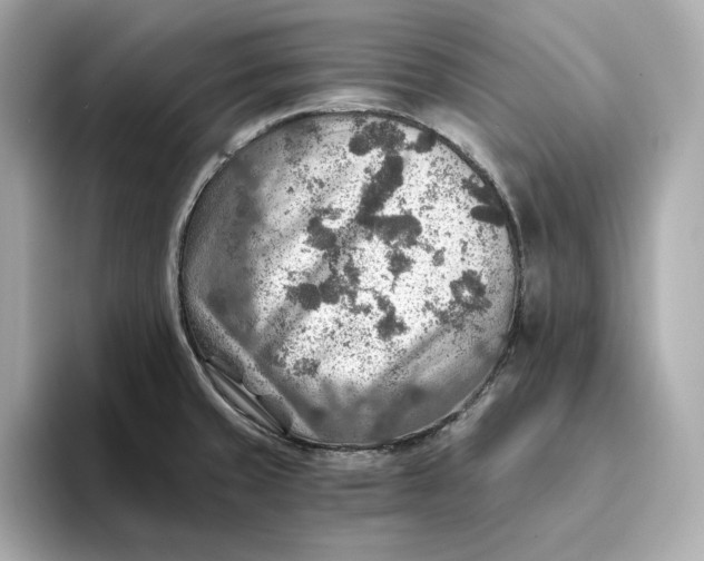 X0000093511429200711021020