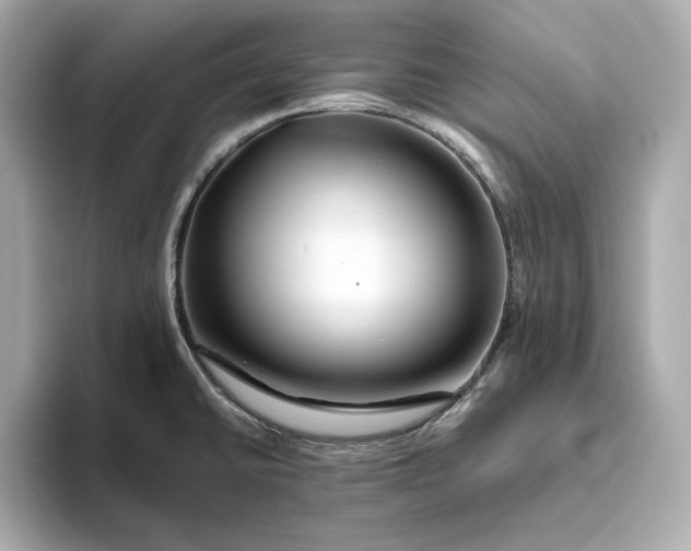 X0000093511430200711021020