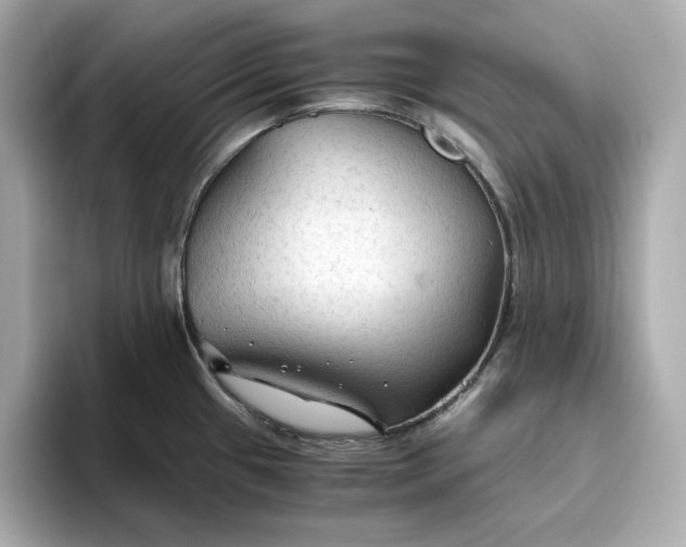 X0000093511433200711021020