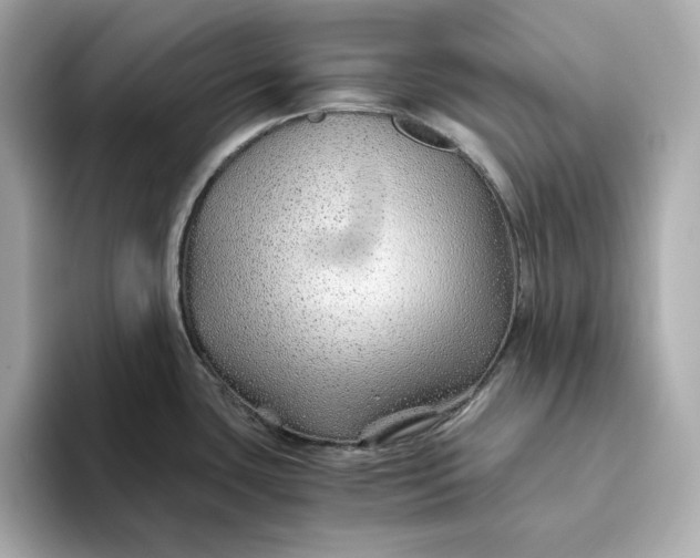 X0000093511435200711021020