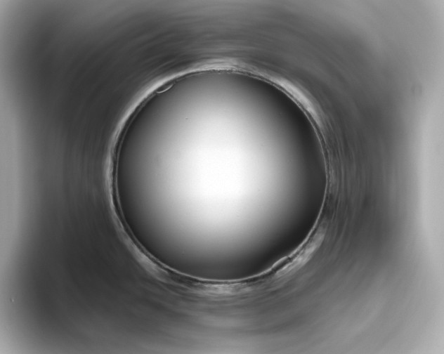 X0000093511438200711021020