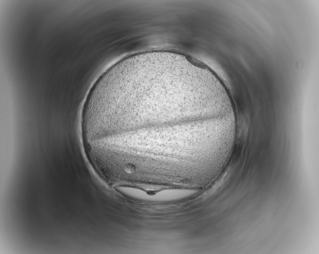 X0000093511439200711021020