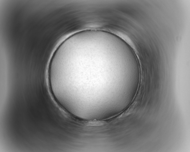 X0000093511440200711021020