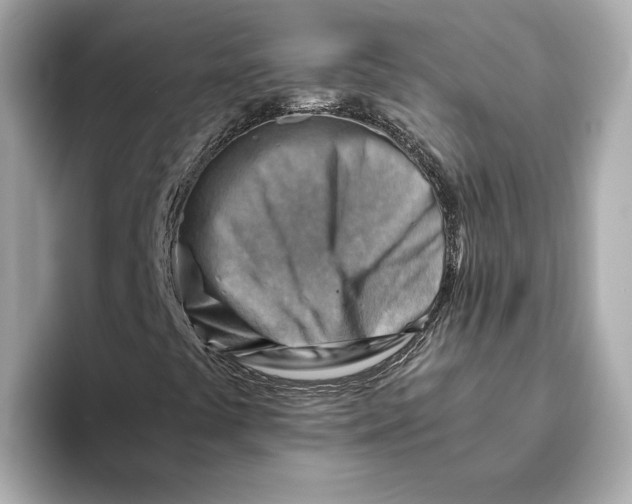 X0000093511441200711021019