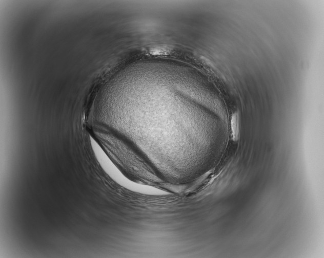 X0000093511443200711021019