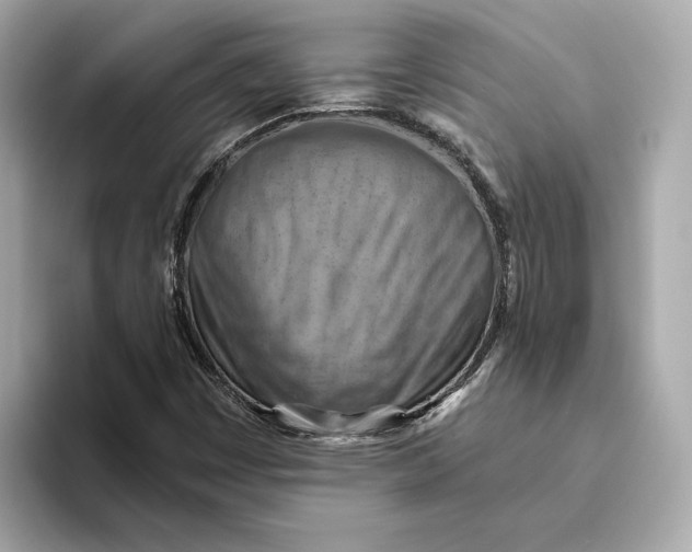 X0000093511449200711021019