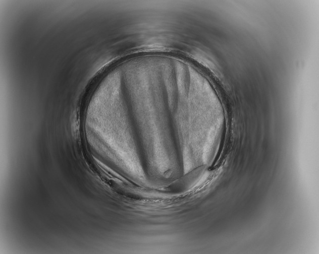 X0000093511450200711021019