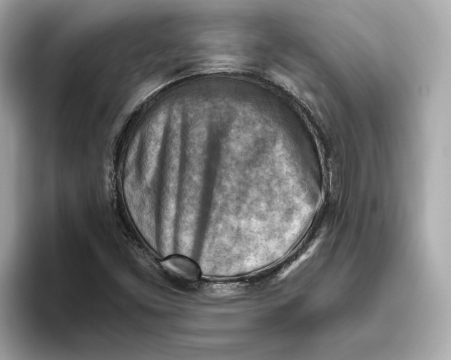 X0000093511453200711021019