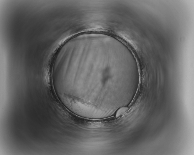 X0000093511455200711021019