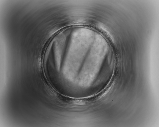 X0000093511457200711021019