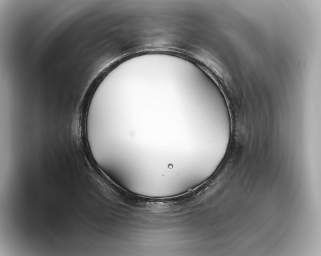 X0000093511458200711021019