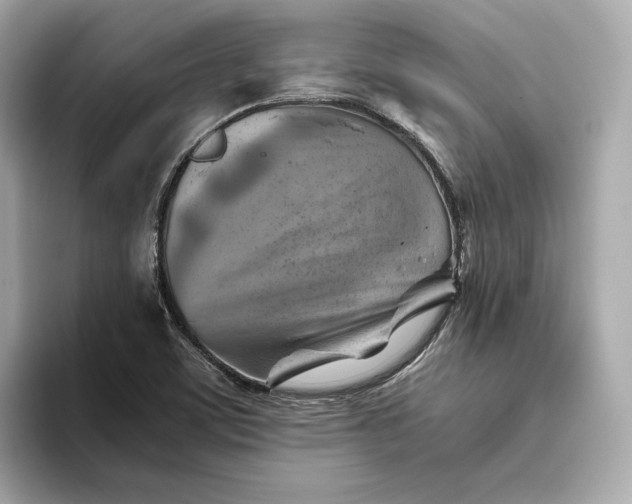 X0000093511459200711021019