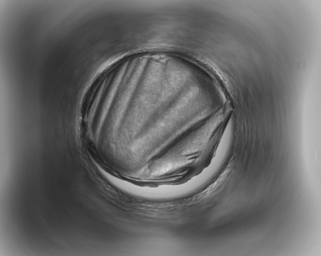 X0000093511461200711021019