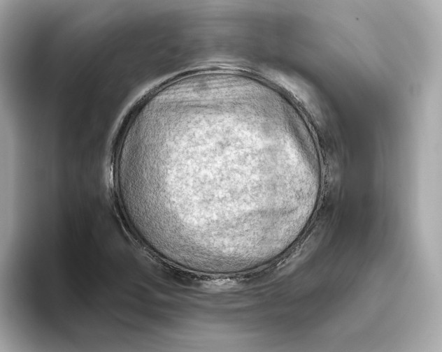 X0000093511462200711021019