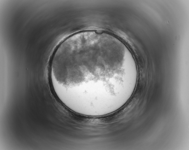 X0000093511463200711021019