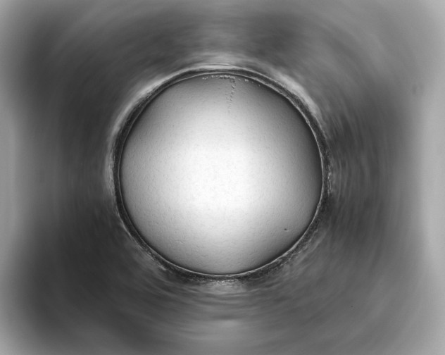 X0000093511464200711021019