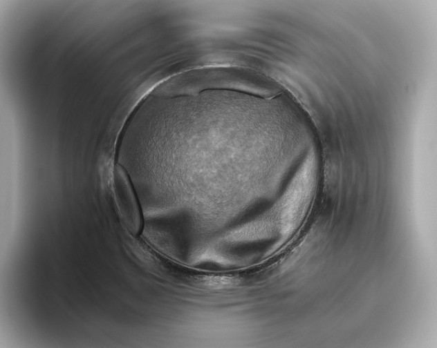 X0000093511465200711021019