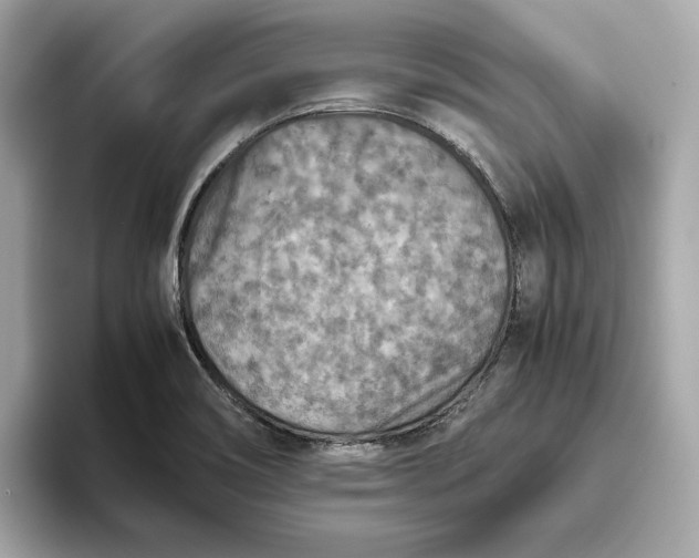 X0000093511466200711021019