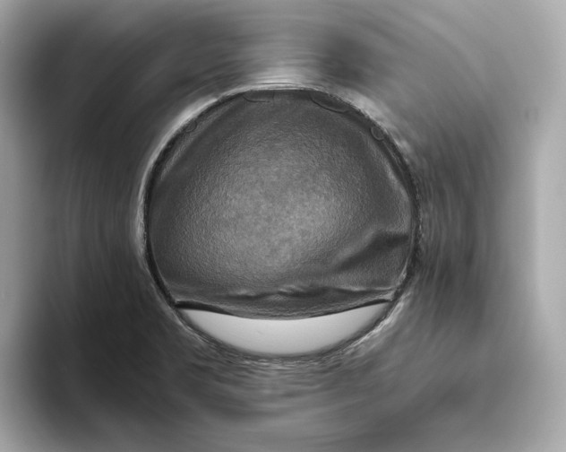 X0000093511469200711021019