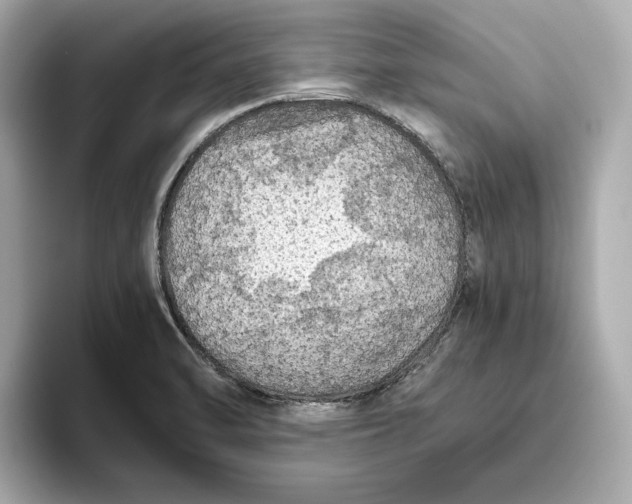 X0000093511470200711021019