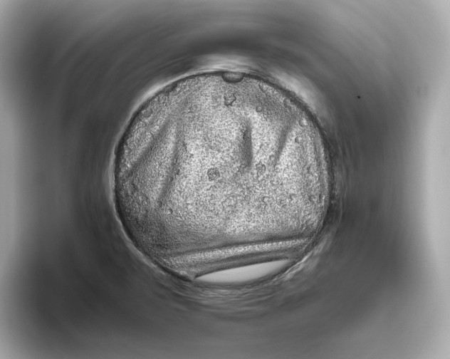 X0000093511471200711021019