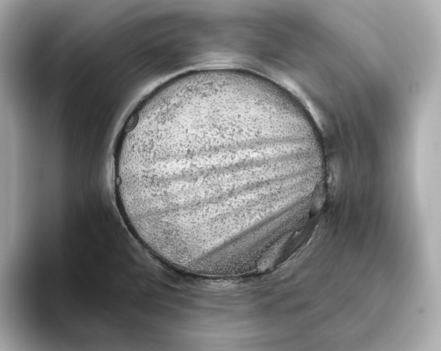 X0000093511472200711021019