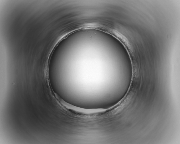 X0000093511473200711021019