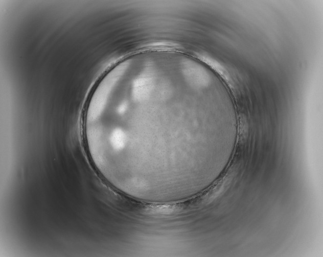 X0000093511474200711021019