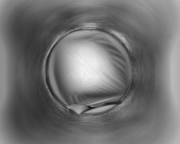 X0000093511475200711021019