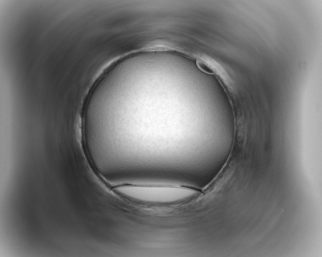 X0000093511476200711021019