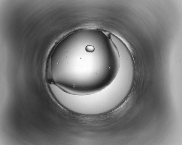 X0000093511477200711021019