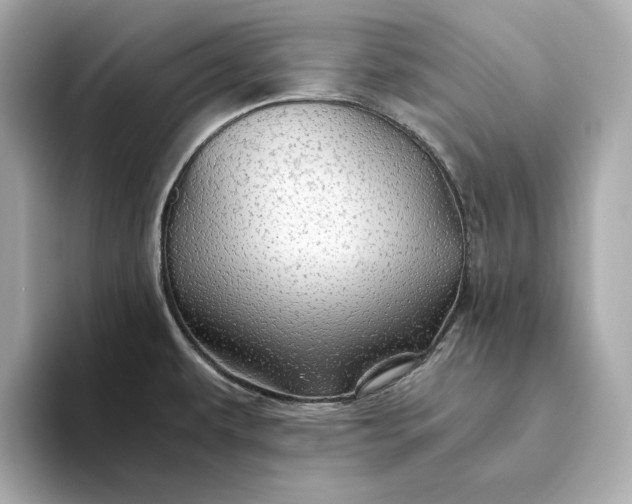 X0000093511479200711021019